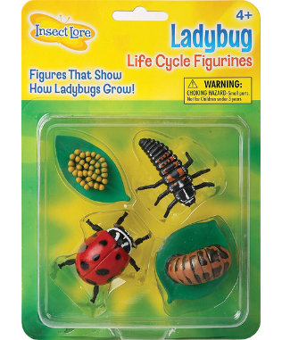 Ladybird Life Cycle Figurine Set