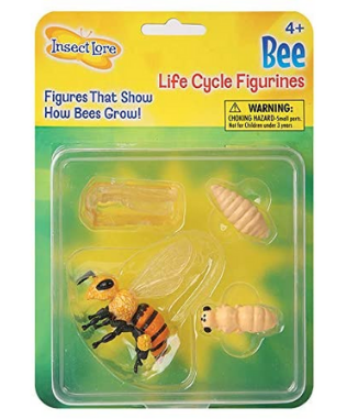 Bee Life Cycle Figurine Set